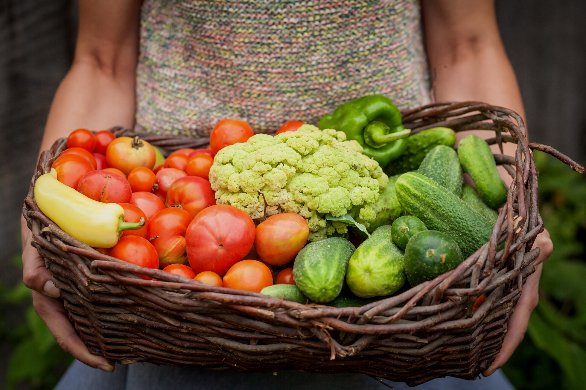 Fresh Produce Vegetables in Basket