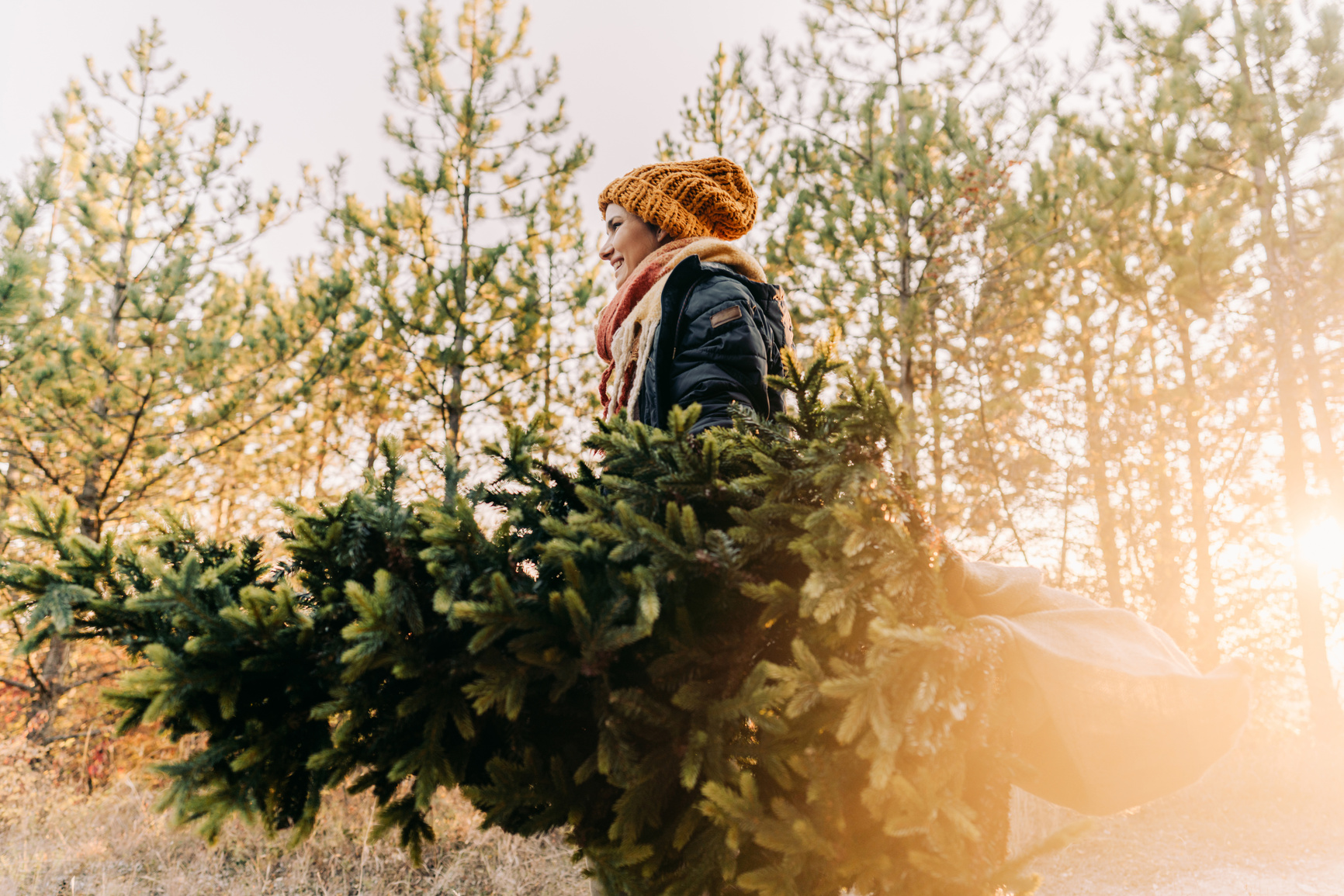 Young woman on a Christmas tree farm